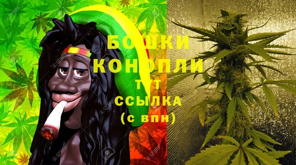 амф Аркадак