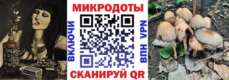 Псилоцибиновые грибы Magic Shrooms  МЕГА ONION  Ленск  где продают наркотики 